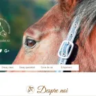 Afacere 1 imagine SOFT EDU Servicii profesionale în Timişoara TM