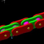 Afacere 16 imagine SOFT EDU Servicii profesionale în Timişoara TM