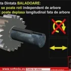 Afacere 18 imagine SOFT EDU Servicii profesionale în Timişoara TM