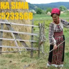 Afacere 4 imagine SOLISTA DE MUZICA POPULARA ELENA SIMA Servicii profesionale în Bucureşti