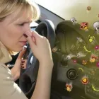 Afacere 1 imagine SPALATORIA AUTO JUMBO Spălătorii, curăţătorii şi vopsitorii de îmbrăcăminte şi textile în Braşov