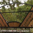 Afacere 8 imagine STEFIART Servicii profesionale în Buzău