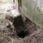 Afacere 2 imagine TERRASOIL TEHNICA Servicii profesionale în Timişoara TM