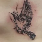 Afacere 16 imagine TH TATTOO Studio de tatuaje în Bucuresti B
