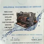 Afacere 7 imagine TIMCLEAN Servicii profesionale în Oradea BH