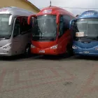 Afacere 3 imagine TRANS NICOLAESCU SRL Turism şi Agrement în Rădăuţi SV