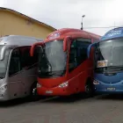Afacere 4 imagine TRANS NICOLAESCU SRL Turism şi Agrement în Rădăuţi SV