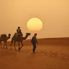 Afacere 2 imagine TRAVEL MOOD Tururi turistice în Bucureşti