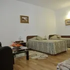 Afacere 10 imagine VILA WEIDNER Turism şi Agrement în Lotrioara SB