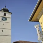 Afacere 15 imagine VILA WEIDNER Turism şi Agrement în Lotrioara SB