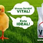 Afacere 1 imagine VITAL BEST NUTRITION Shopping în Târgovişte DB