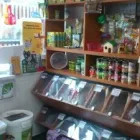 Afacere 13 imagine YORY VET TEAM SRL Veterinari şi clinici veterinare în Bucureşti
