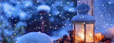 Afacere 3 imagine ALLTUR SRL Turism şi Agrement în Bucureşti