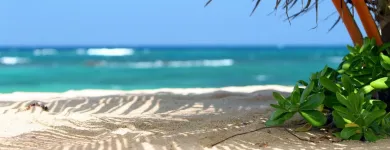 Afacere 4 imagine ALLTUR SRL Turism şi Agrement în Bucureşti