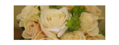 Afacere 2 imagine ANYSIA Shopping în Suceava