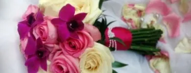 Afacere 5 imagine ANYSIA Shopping în Suceava