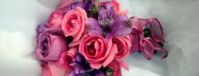 Afacere 7 imagine ANYSIA Shopping în Suceava