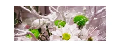 Afacere 10 imagine ANYSIA Shopping în Suceava