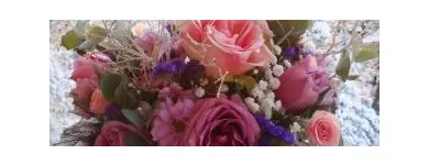 Afacere 14 imagine ANYSIA Shopping în Suceava