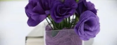 Afacere 17 imagine ANYSIA Shopping în Suceava