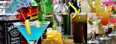 Afacere 12 imagine BEST WESTERN PLUS BRISTON Turism şi Agrement în Otopeni IF