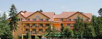 Afacere 1 imagine BEST WESTERN SILVA HOTEL Turism şi Agrement în Sibiu