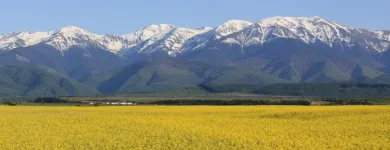 Afacere 18 imagine BEST WESTERN SILVA HOTEL Turism şi Agrement în Sibiu