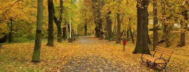 Afacere 22 imagine BEST WESTERN SILVA HOTEL Turism şi Agrement în Sibiu