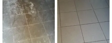 Afacere 1 imagine BLING SERVICES Servicii profesionale în Cluj-Napoca CJ