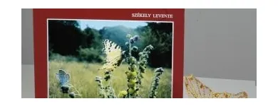 Afacere 2 imagine BRASTAR PRINT SA Shopping în Braşov