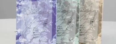 Afacere 13 imagine BRASTAR PRINT SA Shopping în Braşov