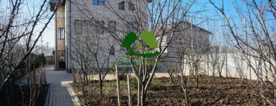 Afacere 3 imagine CAMINUL DE BATRANI SF. DUMITRU Cămine de bătrâni în Bragadiru IF