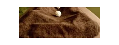 Afacere 2 imagine CAPRICE BEAUTE SRL Servicii de epilare în Oradea BH