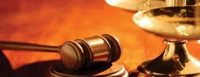 Afacere 3 imagine CASA DE AVOCATURA PAVEL, MARGARIT SI ASOCIATII Servicii legale şi financiare în Bucureşti