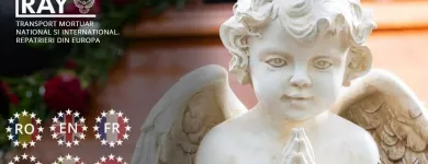 Afacere 6 imagine CASA RAY Transport în Focşani VN