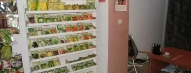 Afacere 2 imagine CAT MEDIA NETWORK SRL Shopping în Bucureşti