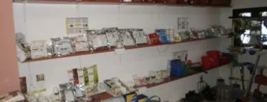 Afacere 5 imagine CAT MEDIA NETWORK SRL Shopping în Bucureşti