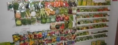 Afacere 7 imagine CAT MEDIA NETWORK SRL Shopping în Bucureşti