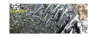 Afacere 5 imagine CICITOMUS Materiale pentru acoperişuri în Bucureşti