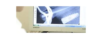 Afacere 7 imagine CMA DR. PANTEL DENTAL-ART Stomatologi şi cabinete stomatologice în Oradea BH