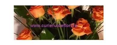 Afacere 1 imagine CURIERUL DE FLORI Shopping în Bucureşti
