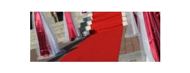 Afacere 2 imagine DECORATIUNI NUNTA TARGOVISTE Shopping în Târgovişte DB