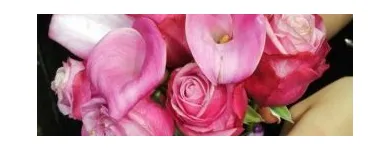 Afacere 6 imagine DECORATIUNI NUNTA TARGOVISTE Shopping în Târgovişte DB