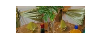 Afacere 9 imagine DECORATIUNI NUNTA TARGOVISTE Shopping în Târgovişte DB