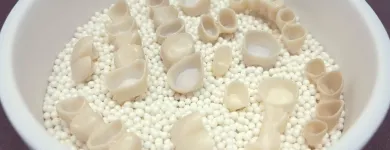 Afacere 4 imagine DENTAMIR - LABORATOR DENTAR CAD CAM Stomatologi şi cabinete stomatologice în Oradea BH