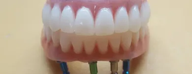 Afacere 12 imagine DENTAMIR - LABORATOR DENTAR CAD CAM Stomatologi şi cabinete stomatologice în Oradea BH