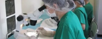 Afacere 4 imagine EUROCLINIC 2002 S.R.L Stomatologi şi cabinete stomatologice în Bucureşti