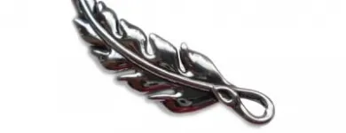 Afacere 15 imagine EYLUL SILVER în Bucureşti