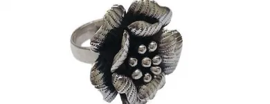 Afacere 25 imagine EYLUL SILVER în Bucureşti