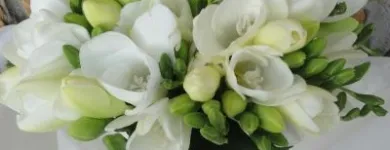 Afacere 3 imagine FANTASY MARRIAGE Shopping în Bucureşti